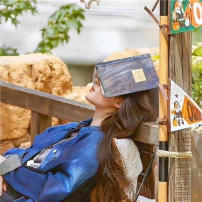 本色英雄 在线观看