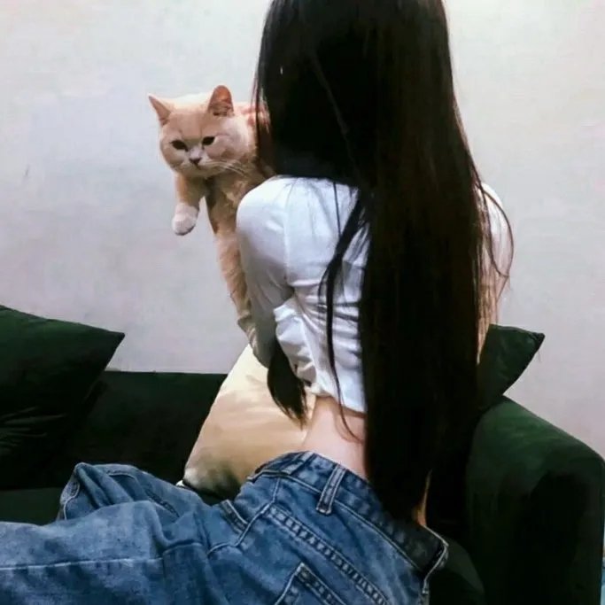 异形杀机 在线观看